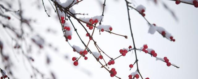 下雪时开车注意事项