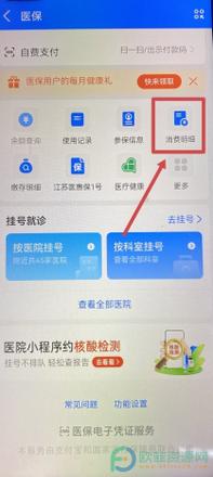 在支付宝中怎么查看医保账户余额明细