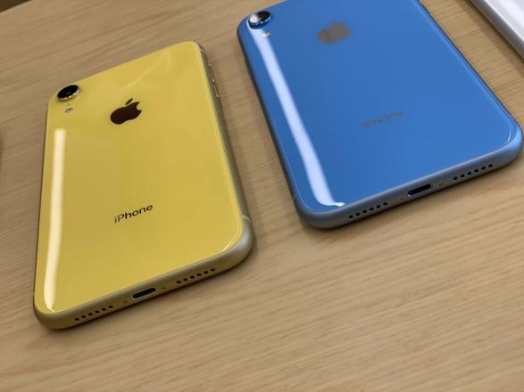 iPhone XR 即将开始预售，你准备选哪个颜色？