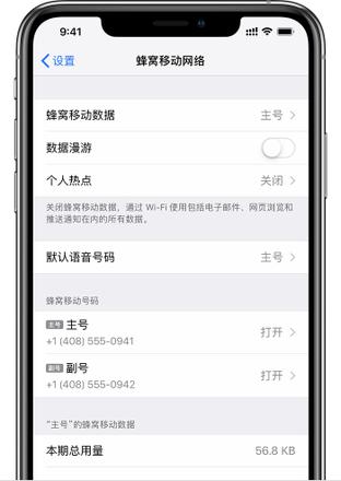 如何区分和设置 iPhone XS Max 的主卡和副卡？