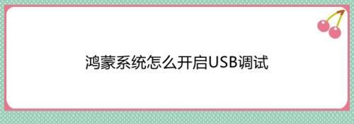 鸿蒙系统USB调试模式在哪? 鸿蒙系统开启USB调试的技巧