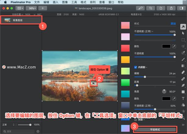 Pixelmator Pro?教程「178」，如何在 Pixelmator Pro?中应用平坦样式？