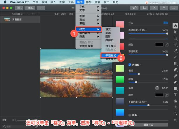 Pixelmator Pro?教程「178」，如何在 Pixelmator Pro?中应用平坦样式？