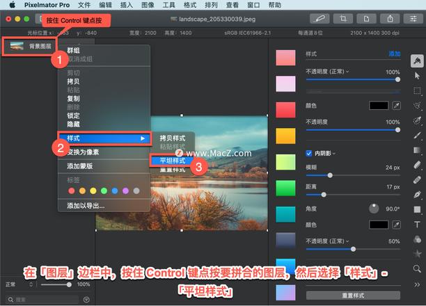 Pixelmator Pro?教程「178」，如何在 Pixelmator Pro?中应用平坦样式？