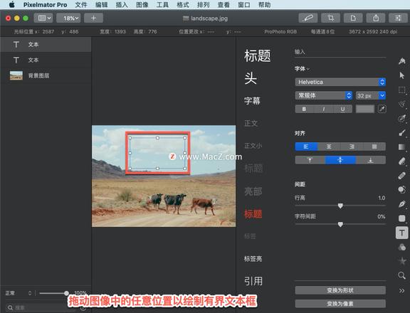 Pixelmator Pro?教程「164」，如何在 Pixelmator Pro?中使用输入工具？