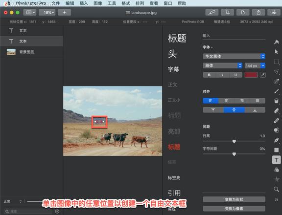 Pixelmator Pro?教程「164」，如何在 Pixelmator Pro?中使用输入工具？