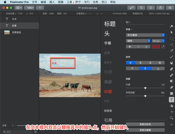 Pixelmator Pro?教程「164」，如何在 Pixelmator Pro?中使用输入工具？