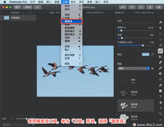 Pixelmator Pro?教程「163」，如何在 Pixelmator Pro?中使用像素漆工具？