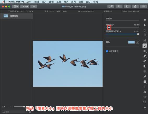 Pixelmator Pro?教程「163」，如何在 Pixelmator Pro?中使用像素漆工具？