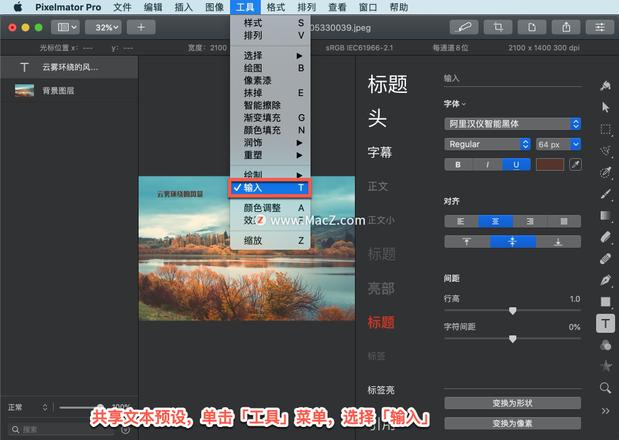 Pixelmator Pro?教程「173」，如何在 Pixelmator Pro?中共享文本预设？