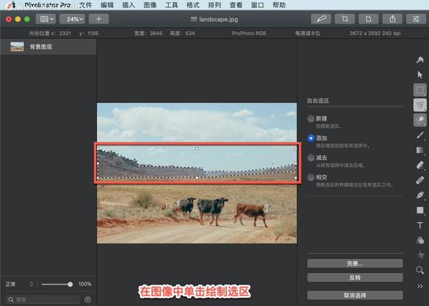 Pixelmator Pro?教程「198」，如何在 Pixelmator Pro?中使用选择工具？