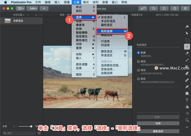 Pixelmator Pro?教程「198」，如何在 Pixelmator Pro?中使用选择工具？