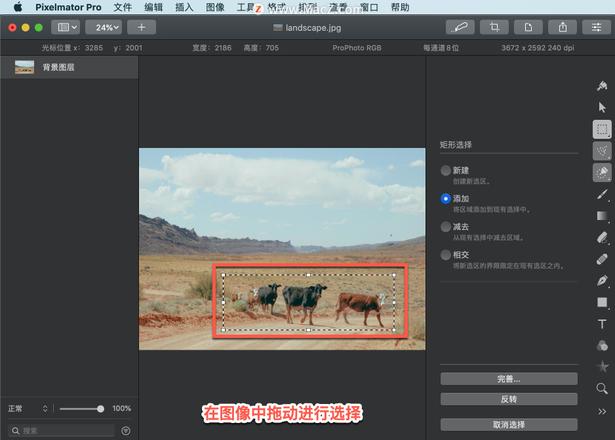 Pixelmator Pro?教程「198」，如何在 Pixelmator Pro?中使用选择工具？