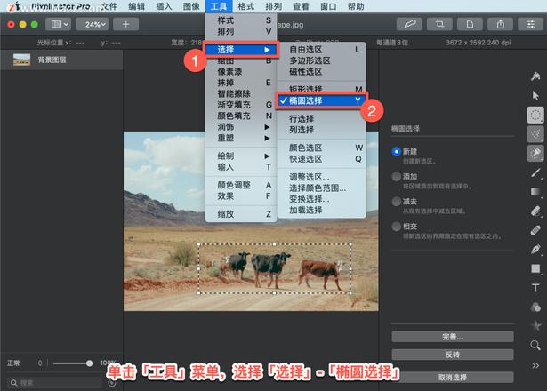 Pixelmator Pro?教程「198」，如何在 Pixelmator Pro?中使用选择工具？