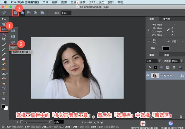 PixelStyle 教程「13」，如何在 PixelStyle 中使用?多边形套索工具？