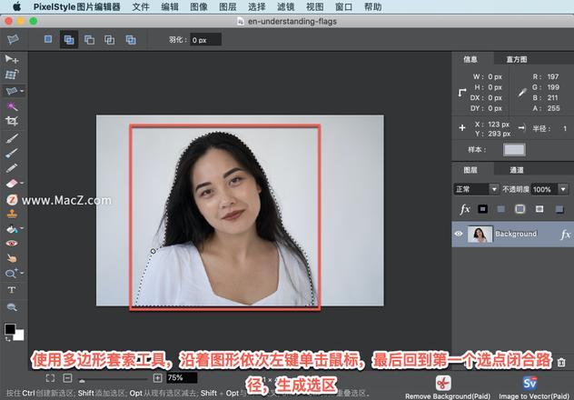 PixelStyle 教程「13」，如何在 PixelStyle 中使用?多边形套索工具？