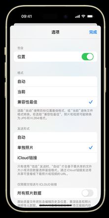 如何在 iPhone 上将照片转为 JPG 格式共享给他人？