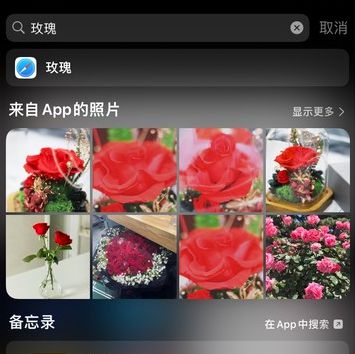 5 个 iPhone 小技巧：让拍摄和编辑照片更轻松