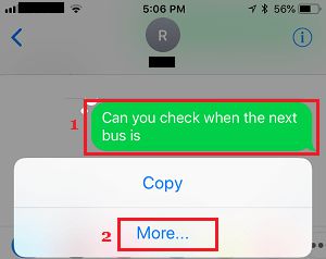 iPhone 上 iMessage 中的更多选项