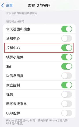 苹果iPhone手机无法在应用内使用控制中心怎么办？