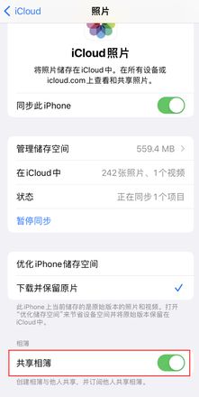 在 iPhone 上找不到“共享相簿”怎么办？