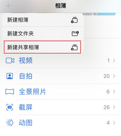 在 iPhone 上找不到“共享相簿”怎么办？