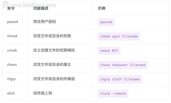 macOS终端常用命令大全