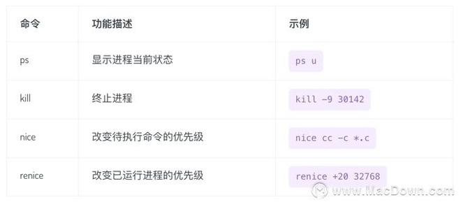 macOS终端常用命令大全