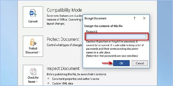 在Win10/Mac中使用密码保护Word文档文件的3个技巧