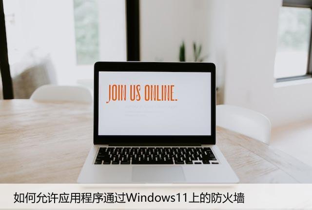 如何允许应用程序通过Windows11上的防火墙