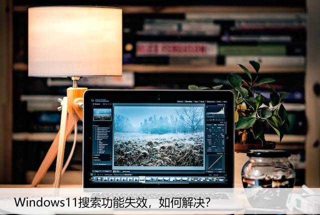 Windows11搜索功能失效，如何解决？