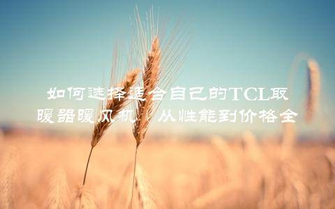 如何选择适合自己的TCL取暖器暖风机（从性能到价格全面介绍）