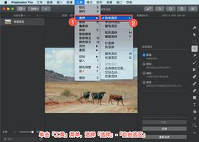 Pixelmator Pro?教程「198」，如何在 Pixelmator Pro?中使用选择工具？