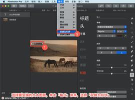 Pixelmator Pro?教程「171」，如何在 Pixelmator Pro?中将文本变换为形状或像素图层？