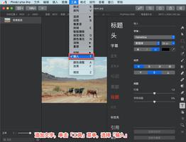 Pixelmator Pro?教程「164」，如何在 Pixelmator Pro?中使用输入工具？