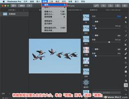 Pixelmator Pro?教程「157」，如何在 Pixelmator Pro?中设置裁剪框大小？