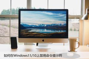 如何在Windows11/10上禁用命令提示符